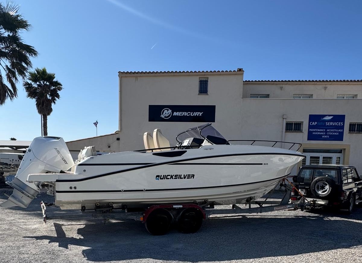 Grue professionnelle en action pour sortie d'eau de bateau