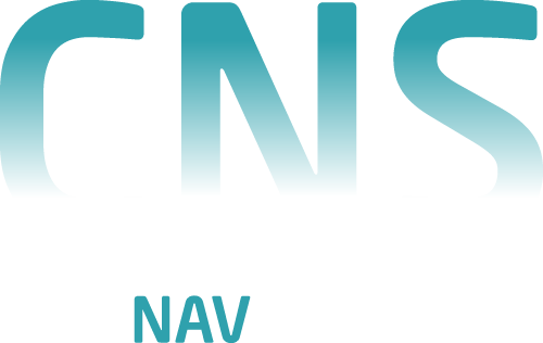 Cap Nav Services